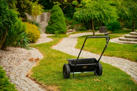 Siewnik ogrodowy 60cm Cedrus
