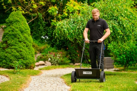 Siewnik ogrodowy 60cm Cedrus