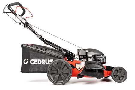 Kosiarka Cedrus KS53S-H AL